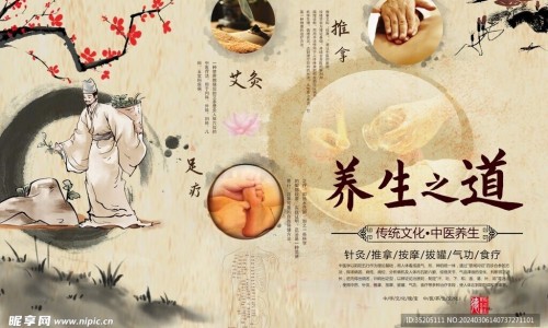 干的薰衣草怎么养-权威干薰衣草的功效与作用及禁忌平台,分享专业干薰衣草的功效与作用图片知识_干薰衣草的功效与作用网