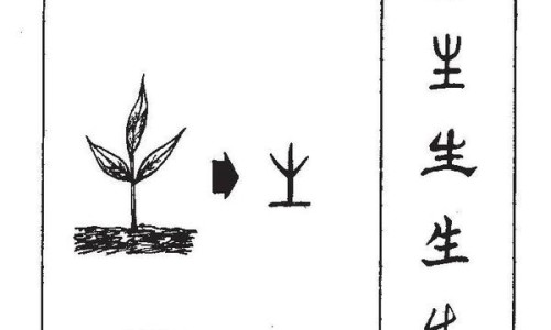 干薰衣草的功效与作用及禁忌-权威干薰衣草的功效与作用及禁忌平台,分享专业干薰衣草的功效与作用图片知识_干薰衣草的功效与作用网